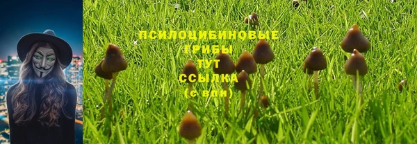 2c-b Горно-Алтайск