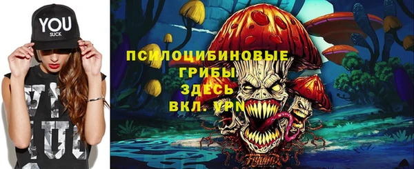 2c-b Горно-Алтайск