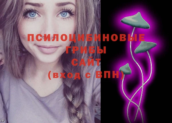 винт Горнозаводск