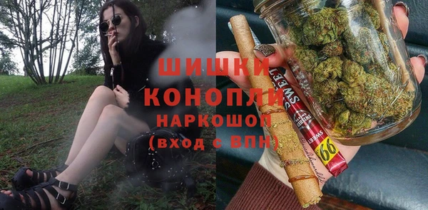 2c-b Горно-Алтайск